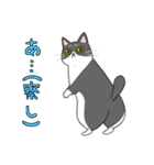 くろねことくつした ネットスラングver（個別スタンプ：15）