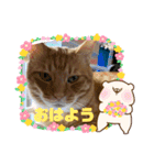 ぽっぷんスタンプ2（個別スタンプ：8）