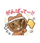 ぽっぷんスタンプ2（個別スタンプ：11）