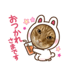 ぽっぷんスタンプ2（個別スタンプ：19）