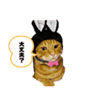 ぽっぷんスタンプ2（個別スタンプ：23）