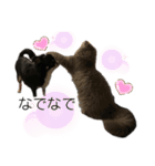 らいむの日常 6（個別スタンプ：5）