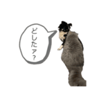 らいむの日常 6（個別スタンプ：14）