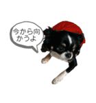 らいむの日常 6（個別スタンプ：18）