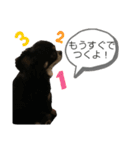 らいむの日常 6（個別スタンプ：19）