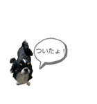 らいむの日常 6（個別スタンプ：20）