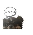 らいむの日常 6（個別スタンプ：21）