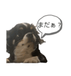 らいむの日常 6（個別スタンプ：22）