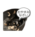 らいむの日常 6（個別スタンプ：24）