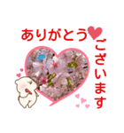 OKオッケー（個別スタンプ：6）
