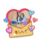 パピヨンの夢ちゃん♡5（個別スタンプ：21）