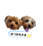 ♪よもちまライフ♪（個別スタンプ：8）
