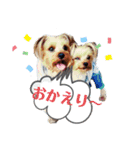 ♪よもちまライフ♪（個別スタンプ：13）
