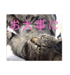 さいき家の動物たち（個別スタンプ：18）