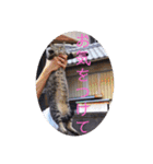 さいき家の動物たち（個別スタンプ：19）