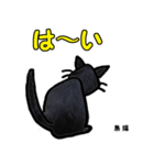 お尻シリーズ8 黒猫 時短（個別スタンプ：4）