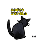 お尻シリーズ8 黒猫 時短（個別スタンプ：10）