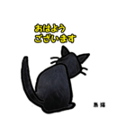 お尻シリーズ8 黒猫 時短（個別スタンプ：14）