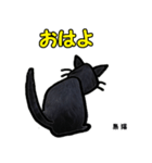 お尻シリーズ8 黒猫 時短（個別スタンプ：15）