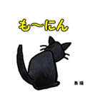 お尻シリーズ8 黒猫 時短（個別スタンプ：16）