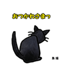 お尻シリーズ8 黒猫 時短（個別スタンプ：17）