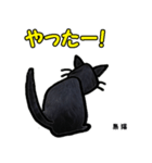 お尻シリーズ8 黒猫 時短（個別スタンプ：29）