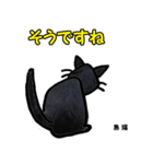 お尻シリーズ8 黒猫 時短（個別スタンプ：34）