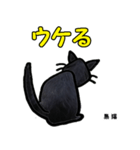 お尻シリーズ8 黒猫 時短（個別スタンプ：37）