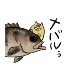 自分で釣った魚は美味いわぁ（個別スタンプ：6）