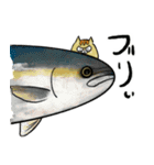 自分で釣った魚は美味いわぁ（個別スタンプ：8）