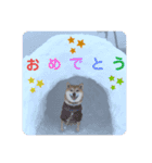 いかり家のゆず②（個別スタンプ：11）