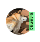 いかり家のゆず②（個別スタンプ：14）