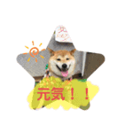 いかり家のゆず②（個別スタンプ：15）