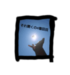 カウンターアタッカーテイナ君あなたと共に（個別スタンプ：13）