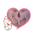 うーにゃんみーにゃん03（個別スタンプ：1）