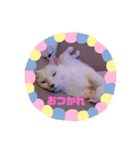 うーにゃんみーにゃん03（個別スタンプ：4）
