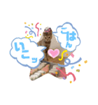 アイラブにゃんこ（個別スタンプ：18）