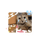 アイラブにゃんこ（個別スタンプ：21）