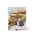 アイラブにゃんこ（個別スタンプ：27）