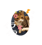 アイラブにゃんこ（個別スタンプ：30）