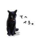 黒猫ノロのちまちまスタンプ（個別スタンプ：19）