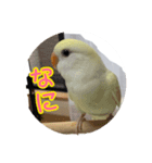 コザクラのポポちゃん（個別スタンプ：2）