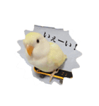 コザクラのポポちゃん（個別スタンプ：4）