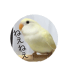 コザクラのポポちゃん（個別スタンプ：7）