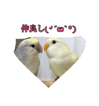 コザクラのポポちゃん（個別スタンプ：8）