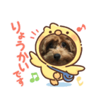 latteのスタンプ3（個別スタンプ：1）