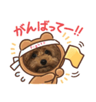 latteのスタンプ3（個別スタンプ：2）
