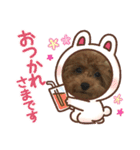 latteのスタンプ3（個別スタンプ：3）