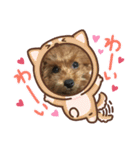 latteのスタンプ3（個別スタンプ：4）
