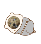 latteのスタンプ3（個別スタンプ：6）